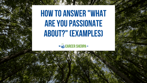How To Answer “What Are You Passionate About?” (Examples)