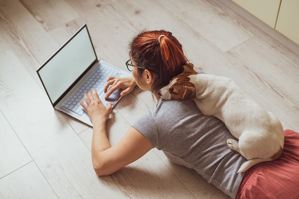 Young woman on laptop inventories her skills for her job search