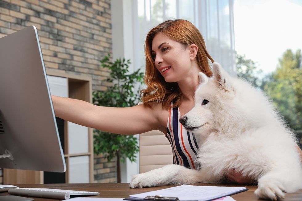 Young woman working at her desk while her dog patiently looks at her computer