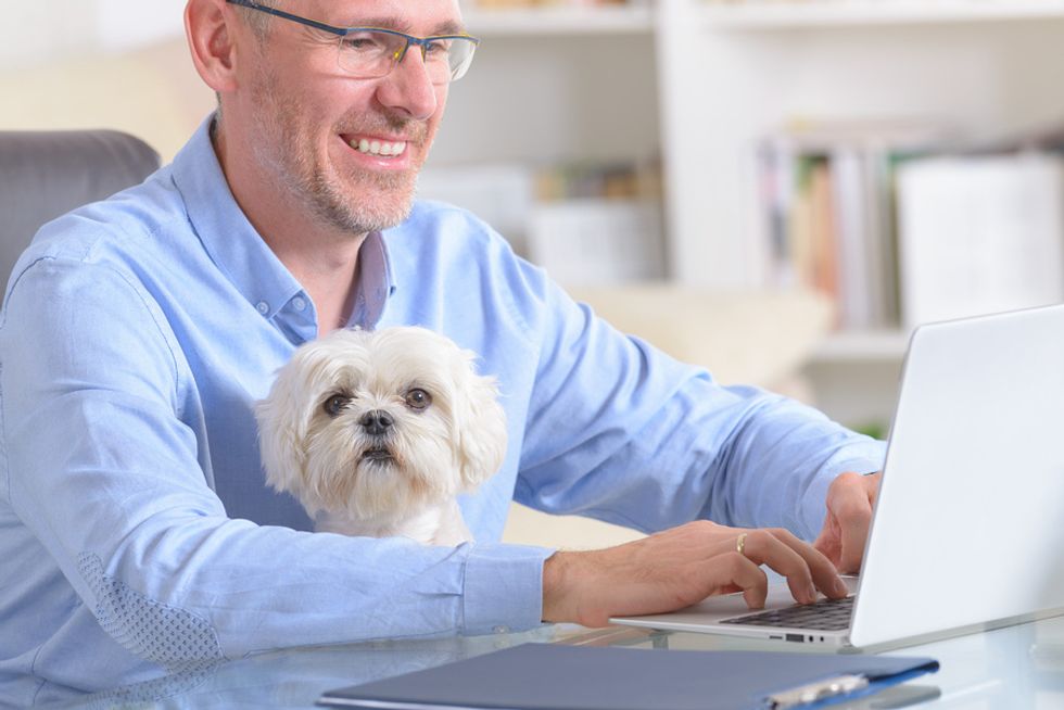 Happy man working on his laptop while his dog sits patiently on his lap
