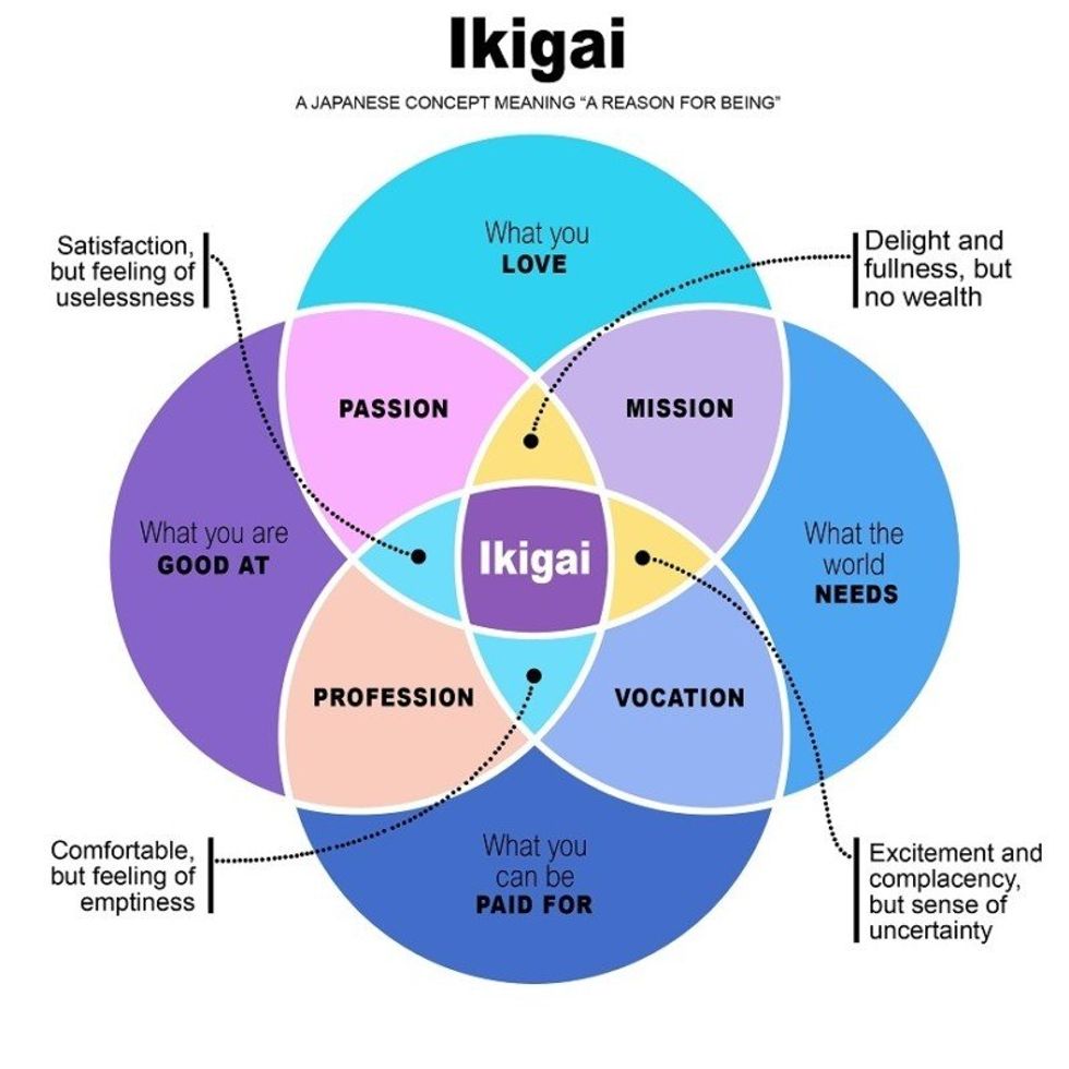 Ikigai concept